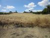 454 High Sierra Dr photo